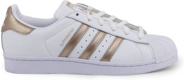 Adidas Originals Superstar Dames Wit Dames - Damesschoenen.nl