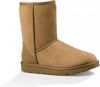 Ugg Classic II Short Boot voor Dames in Black,, Shearling online kopen