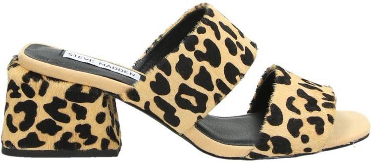 Steve madden keline 2025