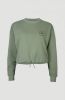 O'Neill Sweatshirt CUBE CREW online kopen