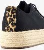 Scapino Blue Box sneakers zwart online kopen